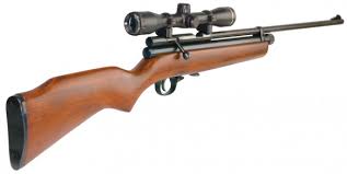 air rifle