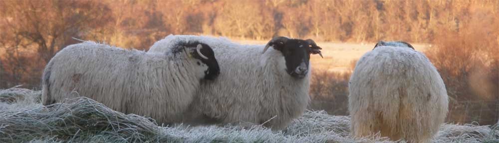 Kilmorack Community Council