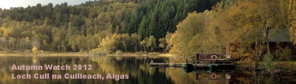 Kilmorack Community Council