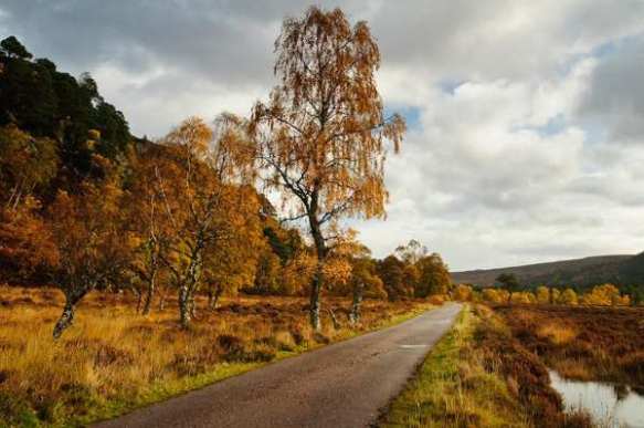 glen-strathfarrar-road